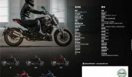 升仕502最新爆料,性能升级，设计革新，引领摩托车市场新潮流