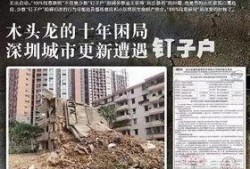 最新爆料木头龙正式开拆,正式开拆，揭秘背后惊人真相