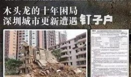 最新爆料木头龙正式开拆,正式开拆，揭秘背后惊人真相