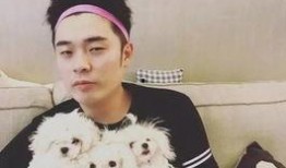 陈赫曹璐最新爆料,揭秘娱乐圈背后的惊人真相